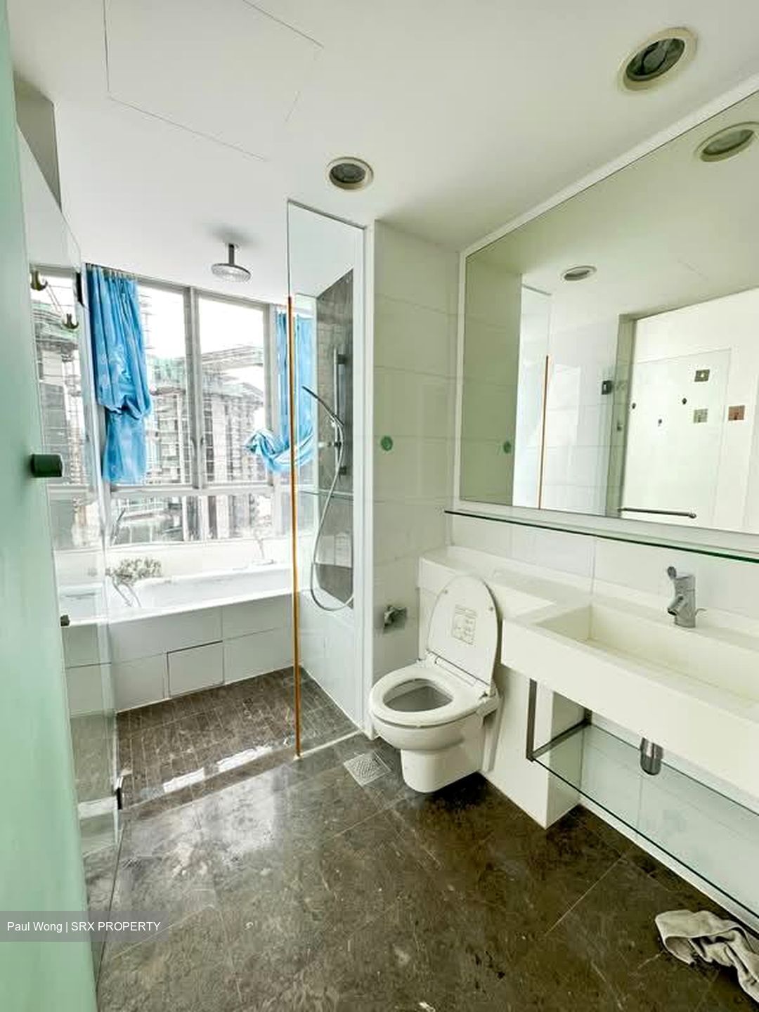 Greenleaf Drive (D10), Condominium #568894991